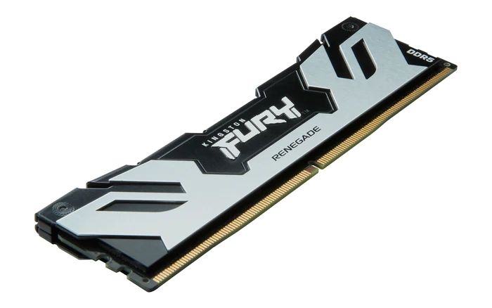 Модуль пам`яті DDR5 48GB/6400 Kingston Fury Renegade Silver (KF564C32RS-48)