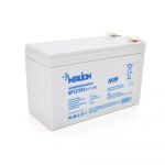 Акумуляторна батарея Merlion 12V 7.5AH (GP1275F2/22463) AGM