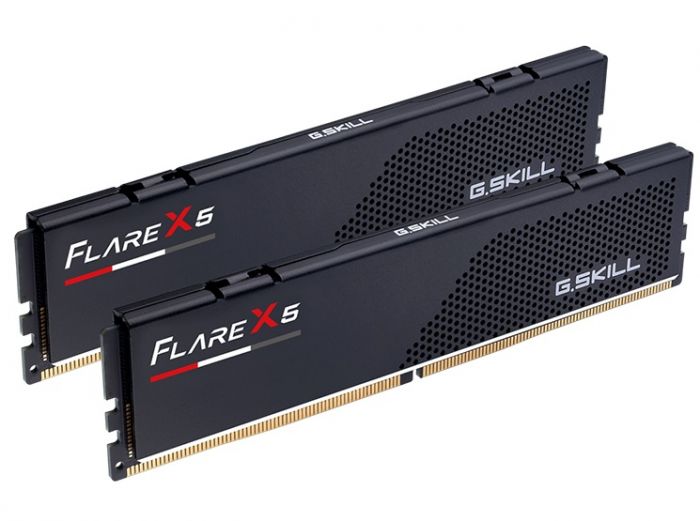 Модуль пам`ятi DDR5 2x24GB/5600 G.Skill Flare X5 (F5-5600J4040D24GX2-FX5)