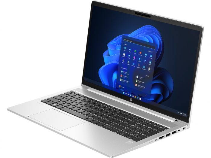 Ноутбук HP ProBook 455 G10 (719F6AV_V1) Silver