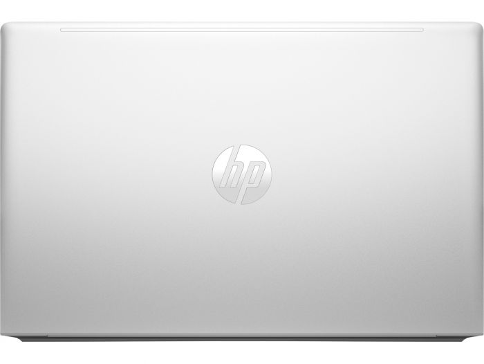 Ноутбук HP ProBook 455 G10 (719F6AV_V2) Silver