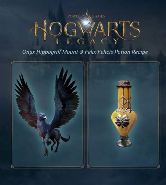 Гра Hogwarts Legacy для Sony PlayStation 4, Blu-ray (5051895413418)