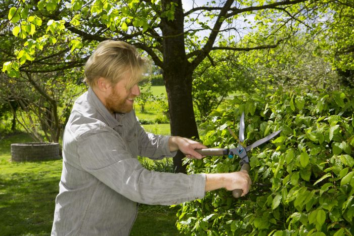 Ножиці для живоплоту Gardena NatureCut (12300-20.000.00)