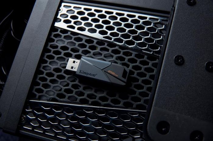 Флеш-накопичувач USB3.2 256GB Kingston DataTraveler Exodia Onyx (DTXON/256GB)