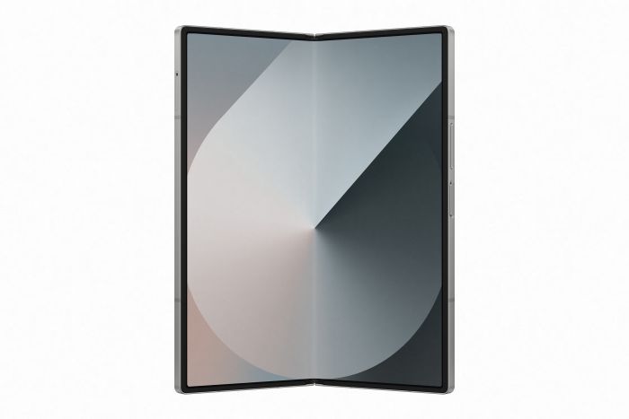 Смартфон Samsung Galaxy Fold6 SM-F956 512GB Silver Shadow (SM-F956BZSCSEK)