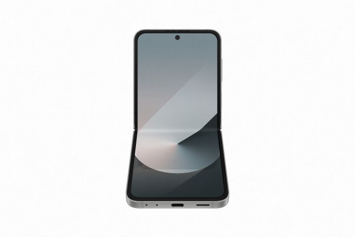 Смартфон Samsung Galaxy Flip6 SM-F741 256GB Silver Shadow (SM-F741BZSGSEK)