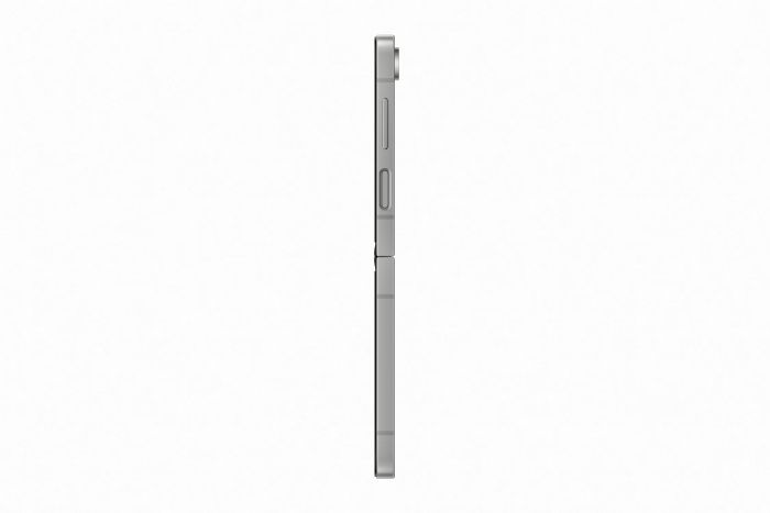 Смартфон Samsung Galaxy Flip6 SM-F741 256GB Silver Shadow (SM-F741BZSGSEK)