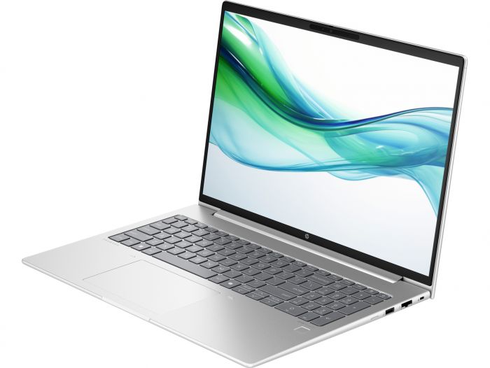 Ноутбук HP ProBook 460 G11 (8Z677AV_V2) Silver