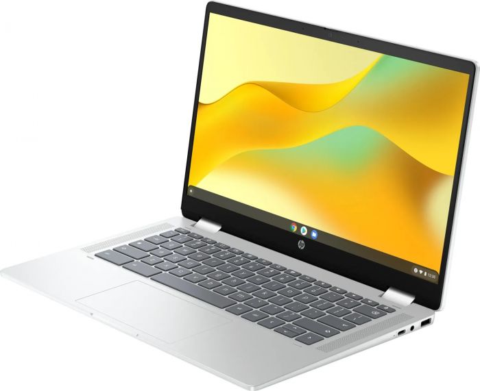 Ноутбук HP Chromebook x360 (198828598608) Silver