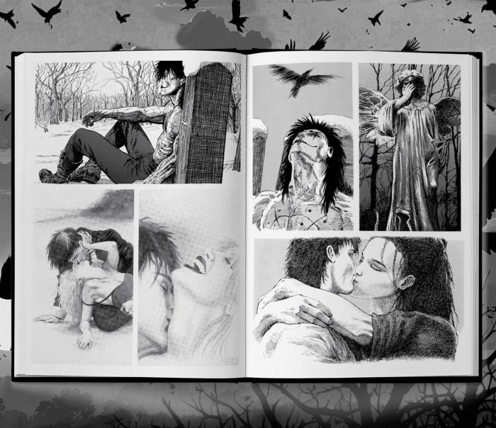 Ворон. Спеціальне видання / Джеймс О`Барр