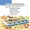 Віршенята для вправних рученят. Пальчикові, будівельні та інші ігри для розвитку дрібної моторики малят 2+ / Юлія Пеліхова