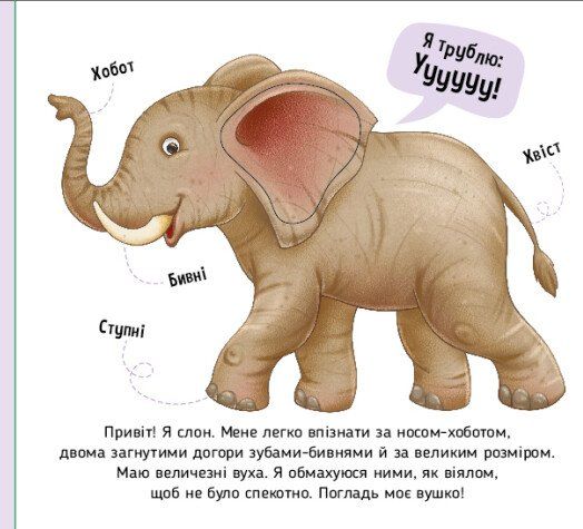 Познайомся і погладь! Тварини світу