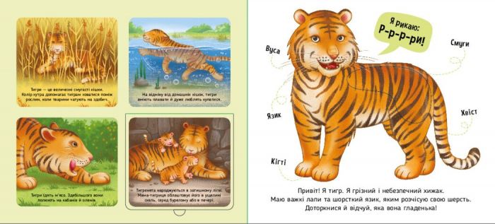 Познайомся і погладь! Тварини світу