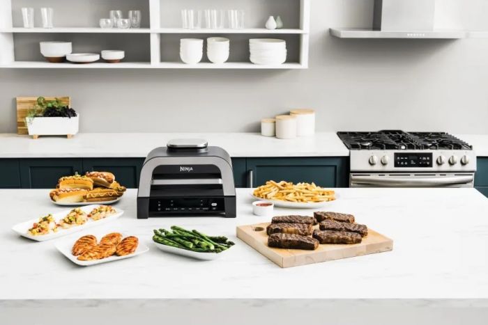 Гриль Ninja Foodi MAX Air Grill & Air Fryer з Сooking probe DG551EU