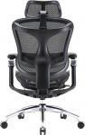 Крісло офісне Sihoo Doro C300 Pro Mesh Black (DORO-C300-PRO-M101)
