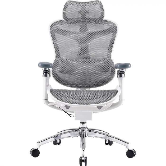 Крісло офісне Sihoo Doro C300 Pro Mesh White (DORO-C300-PRO-M102)