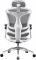 Крісло офісне Sihoo Doro C300 Pro Mesh White (DORO-C300-PRO-M102)