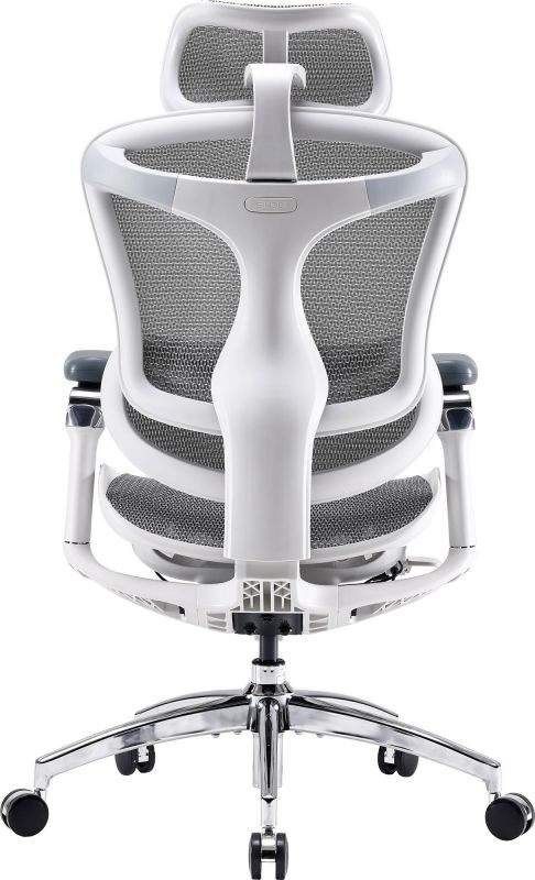 Крісло офісне Sihoo Doro C300 Pro Mesh White (DORO-C300-PRO-M102)