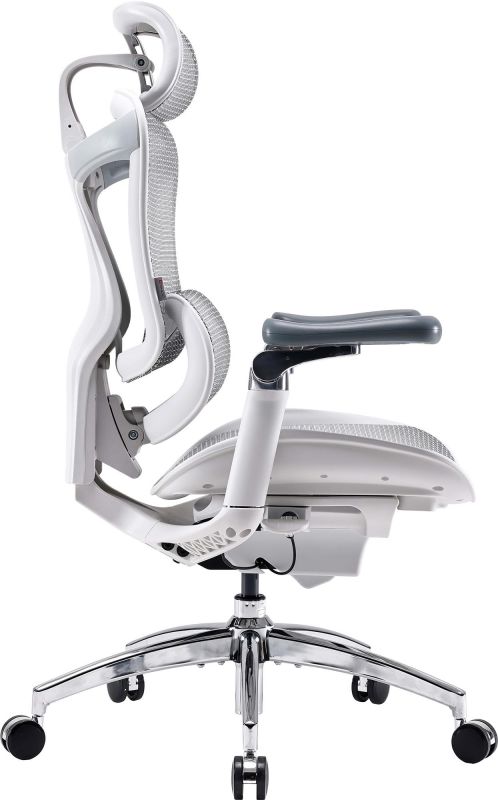 Крісло офісне Sihoo Doro C300 Pro Mesh White (DORO-C300-PRO-M102)