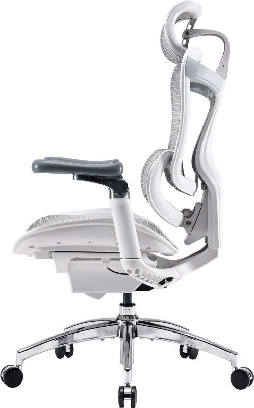 Крісло офісне Sihoo Doro C300 Pro Mesh White (DORO-C300-PRO-M102)