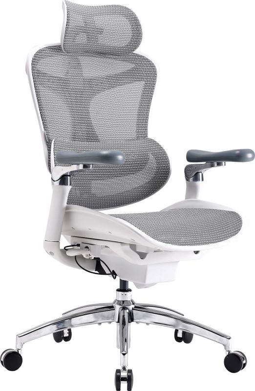Крісло офісне Sihoo Doro C300 Pro Mesh White (DORO-C300-PRO-M102)
