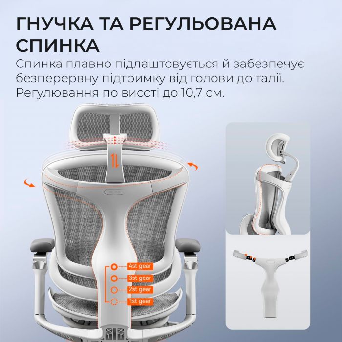 Крісло офісне Sihoo Doro C300 Pro Mesh White (DORO-C300-PRO-M102)