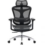 Крісло офісне Sihoo Doro C300L Mesh Black (DORO-C300L-A3-101)