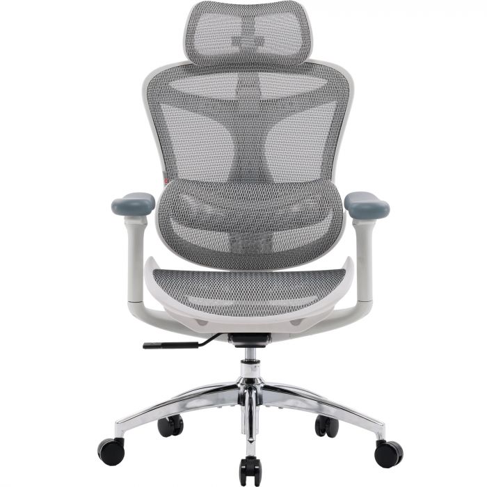 Крісло офісне Sihoo Doro C300L Mesh White DORO-C300L-A3-102)