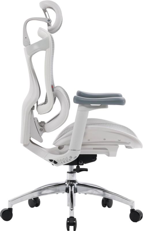 Крісло офісне Sihoo Doro C300L Mesh White DORO-C300L-A3-102)