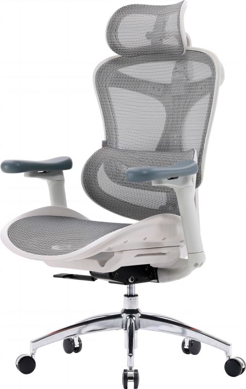 Крісло офісне Sihoo Doro C300L Mesh White DORO-C300L-A3-102)