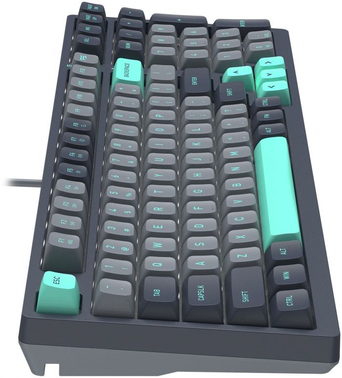 Клавіатура A4Tech Fstyler FS300 Panda Rock Climbing