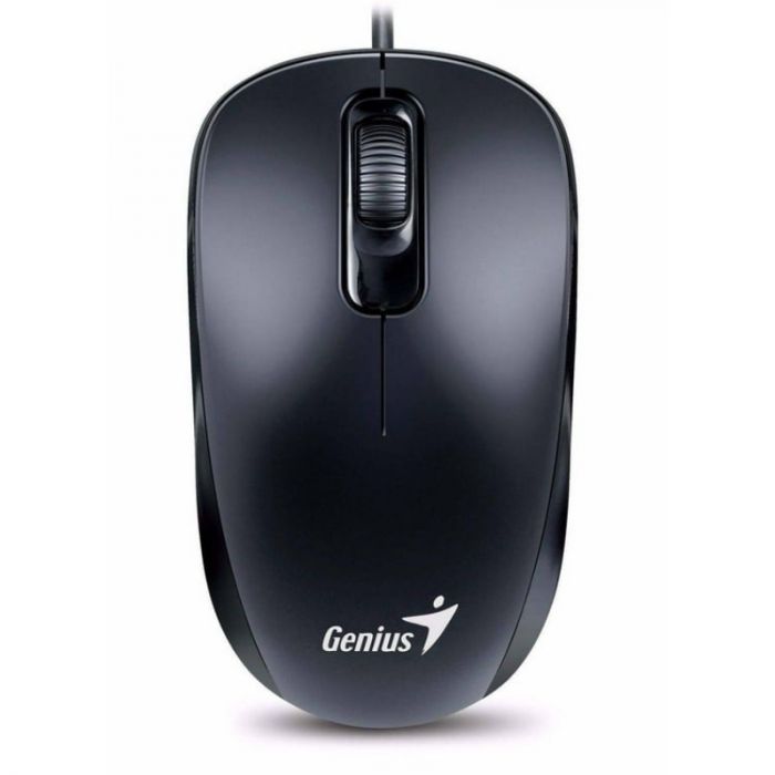 Мишка Genius DX-110 (31010116106) Black