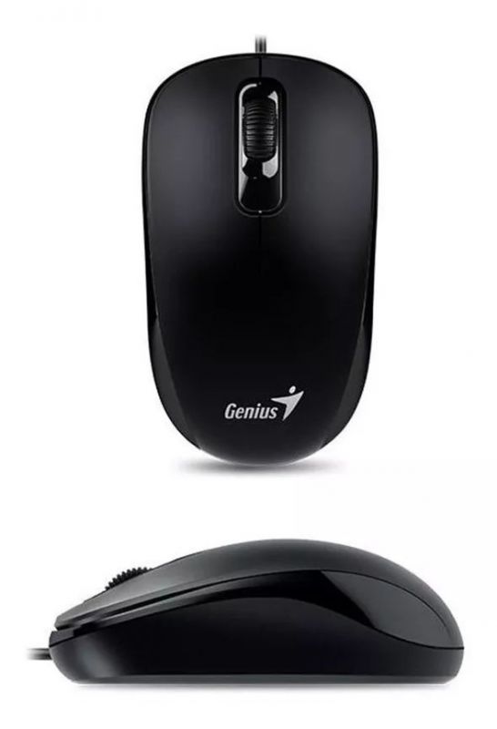 Мишка Genius DX-110 (31010116106) Black