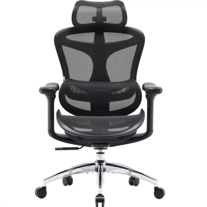 Крісло офісне Sihoo Doro C300L Mesh Black (DORO-C300L-A3-101)