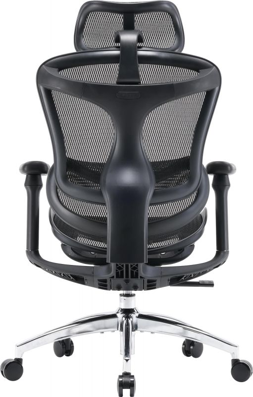 Крісло офісне Sihoo Doro C300L Mesh Black (DORO-C300L-A3-101)