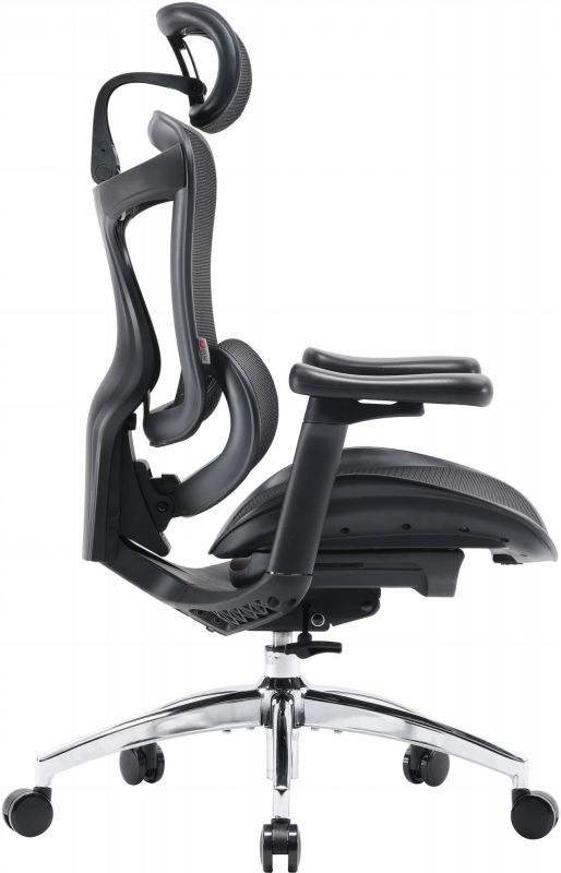 Крісло офісне Sihoo Doro C300L Mesh Black (DORO-C300L-A3-101)