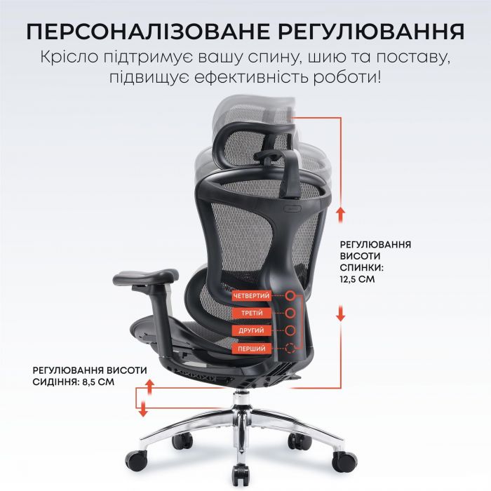 Крісло офісне Sihoo Doro C300L Mesh Black (DORO-C300L-A3-101)