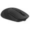 Миша бездротова A4Tech FB10CS Stone Black