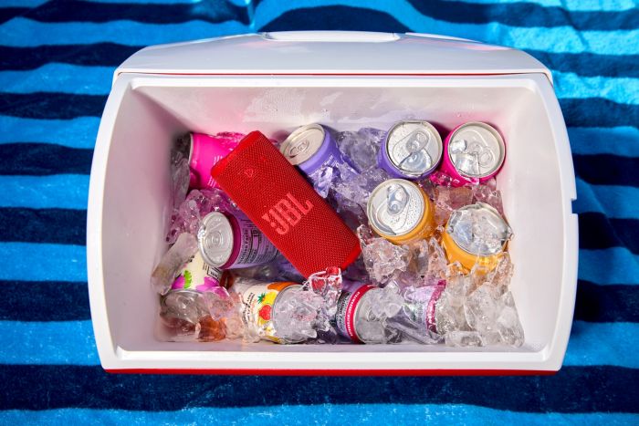 Акустична система JBL Grip Red (JBLGRIPRED)