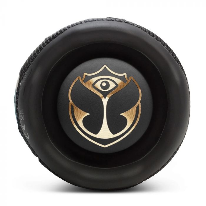 Акустична система JBL Flip 7 Tomorrowland (JBLFLIP7TML)