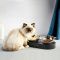 Миска Petkit Fresh Nano-Metal Pet/Cat Two Bowl Stand (P5201)