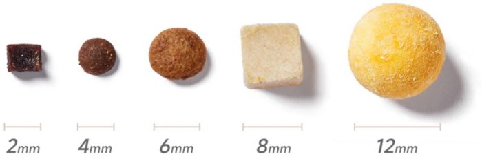 Смарт-годівниця Mova Automatic PET Feeder PF10 Pro (PF10A)