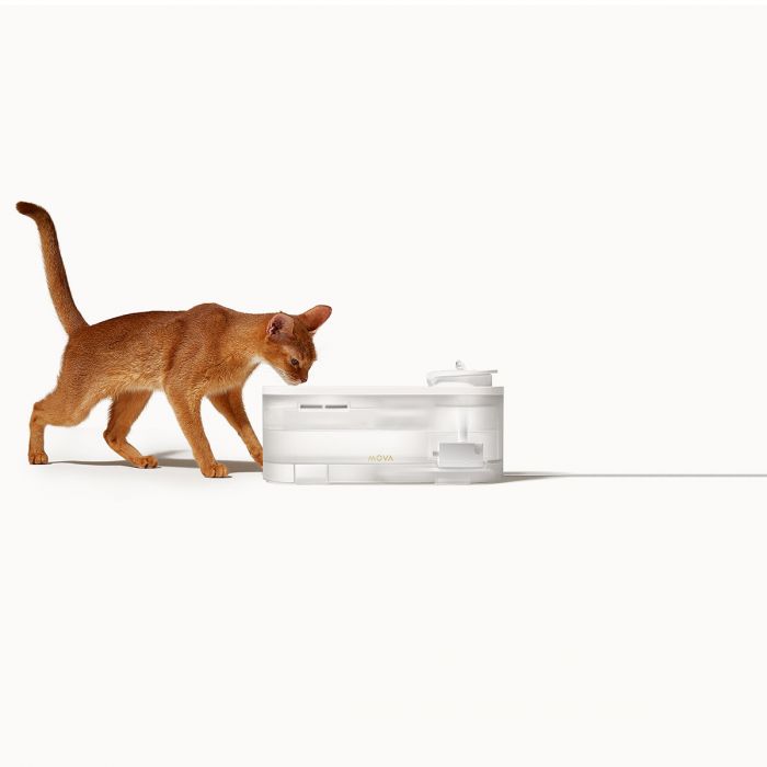 Поїлка-фонтанчик для тварин MOVA WF10 Pro