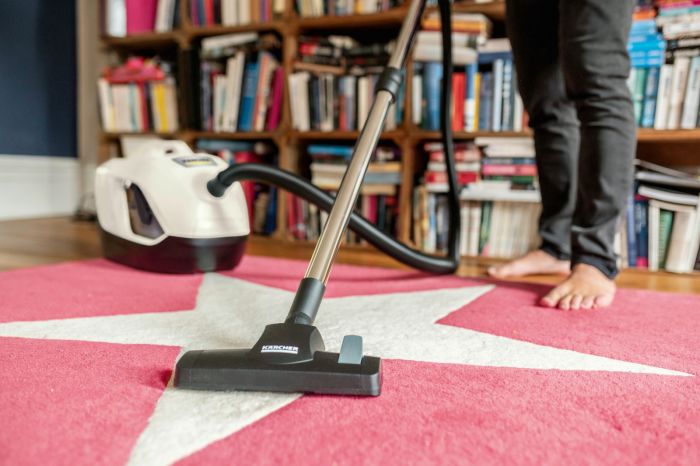Пилосос з аквафільтром Karcher DS 6 Plus (1.195-252.0)