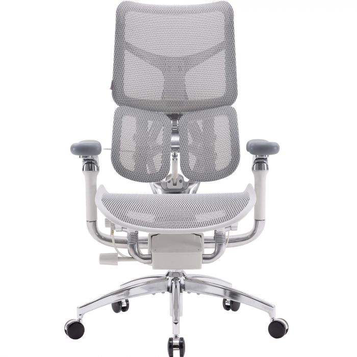 Крісло офісне Sihoo Doro S100 Mesh Black (S100-M301)