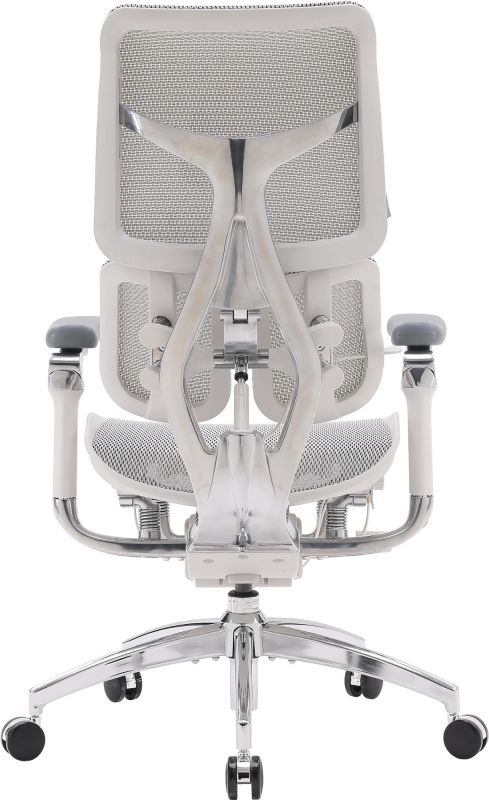 Крісло офісне Sihoo Doro S100 Mesh Black (S100-M301)