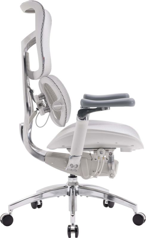 Крісло офісне Sihoo Doro S100 Mesh Black (S100-M301)