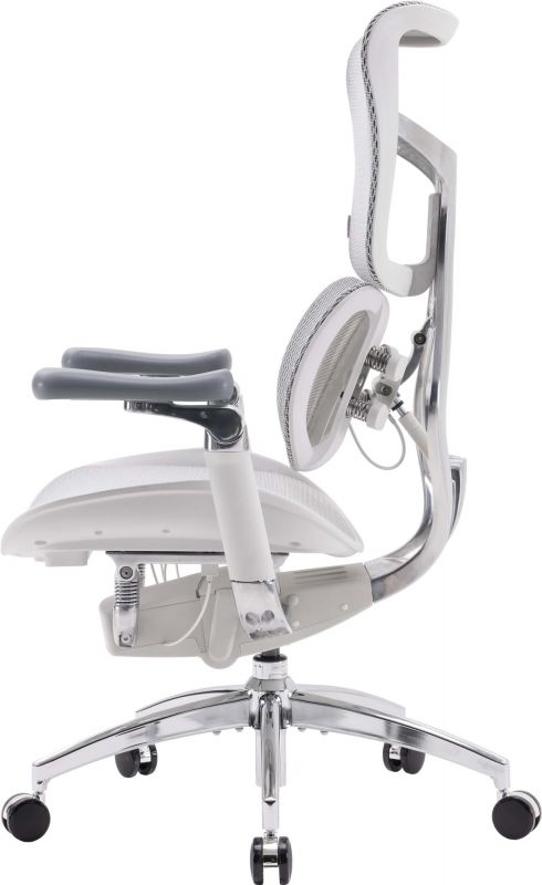 Крісло офісне Sihoo Doro S100 Mesh Black (S100-M301)