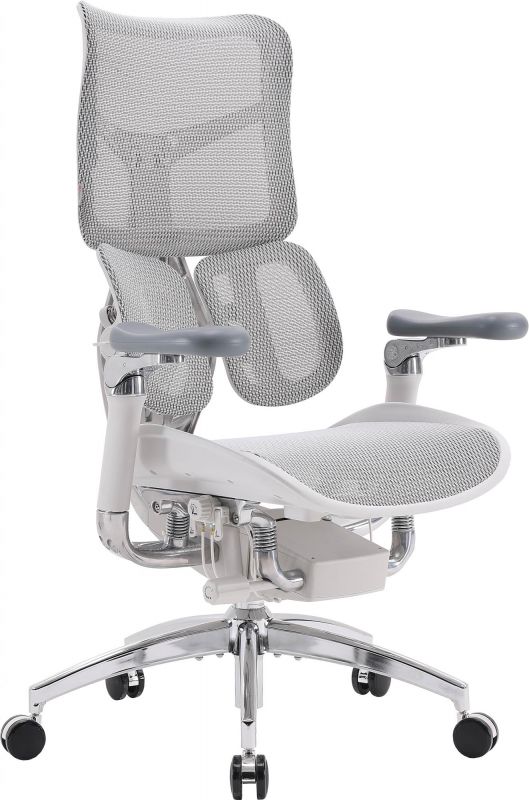 Крісло офісне Sihoo Doro S100 Mesh Black (S100-M301)