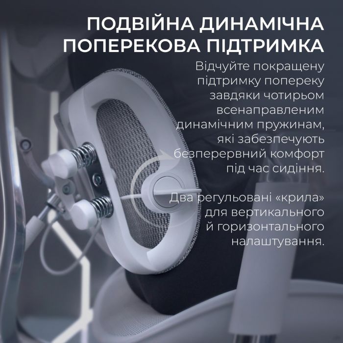 Крісло офісне Sihoo Doro S100 Mesh Black (S100-M301)